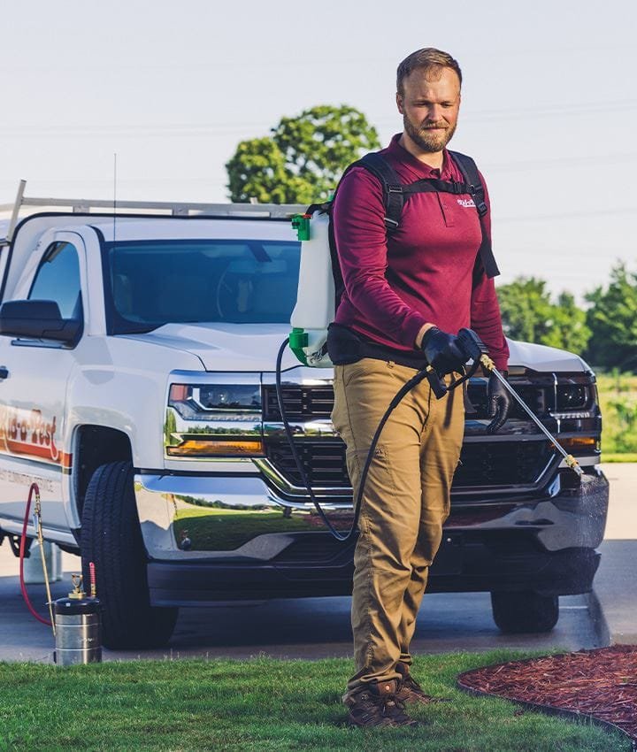 Residential Pest control