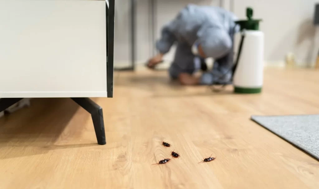 Hardest Household Pest To Get Rid Of