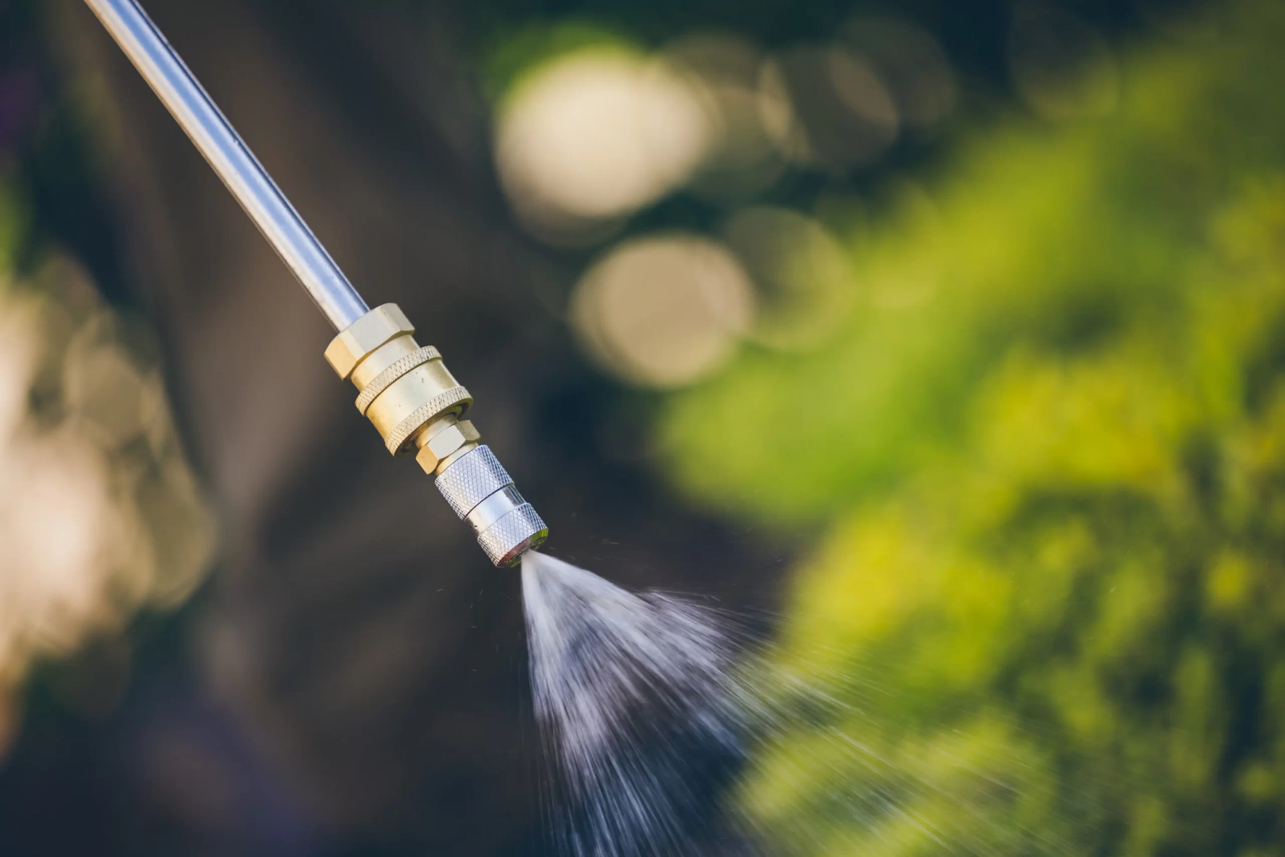 Eco-conscious pest control expert applying green solutions in Northwest AR