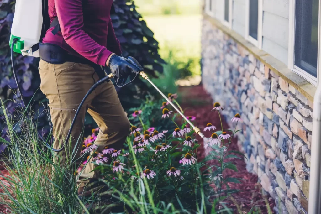 Rid-A-Pest Team vehicle with eco-friendly pest control branding