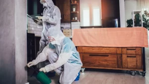 termite-pest-control-treatment-NWA-img