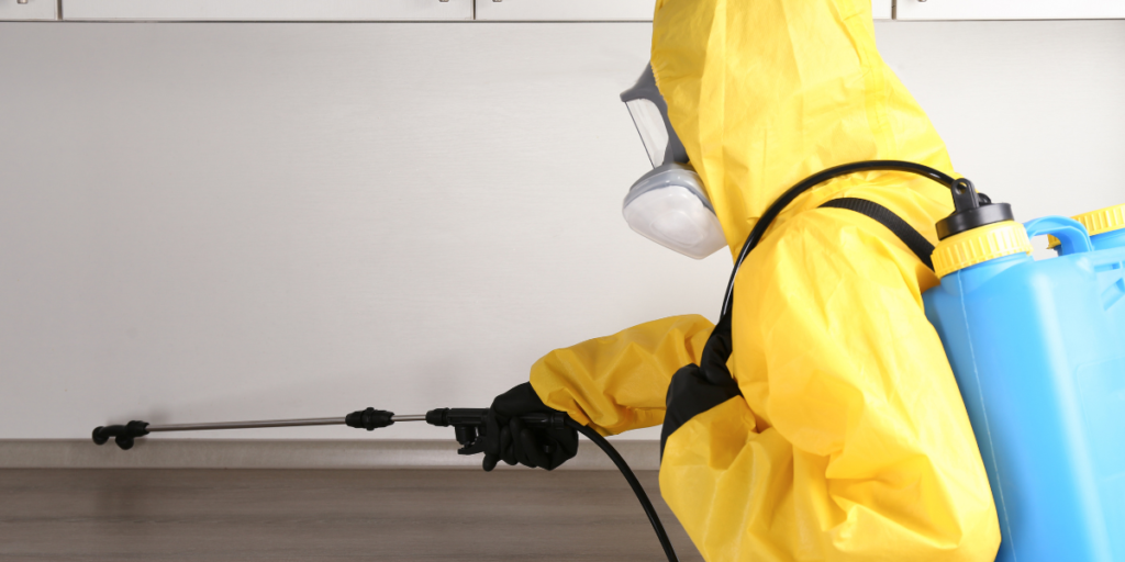 Pest Control for Flies — Stopping Infestations Before They Spread