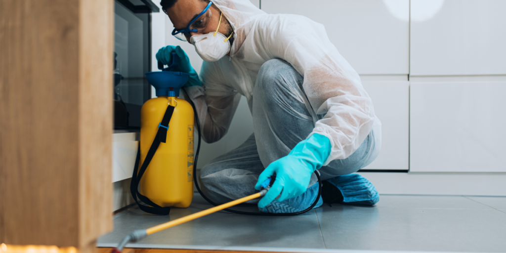 Why Pest Control for Restaurants Is Critical for Health, Safety, and Compliance