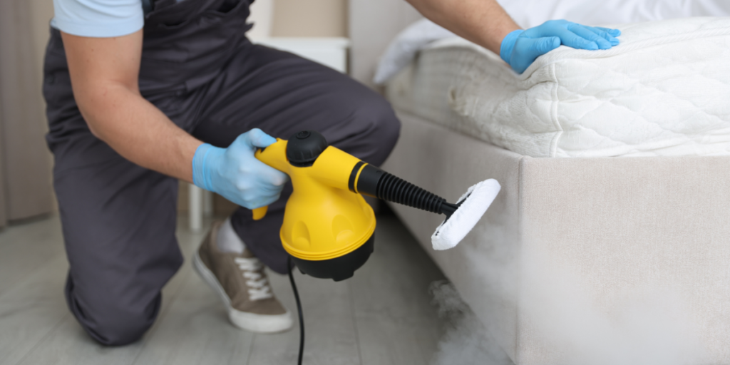 Why hiring a professional to get rid of bed bugs is better than DIY