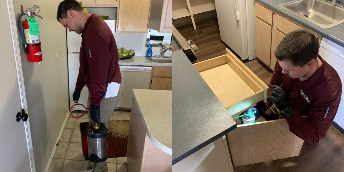 When Should You Call an Exterminator? 7 Warning Signs You Shouldn’t Ignore