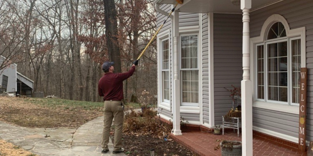 How Often Should You Get Pest Control in Arkansas?