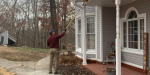 How Often Should You Get Pest Control in Arkansas?