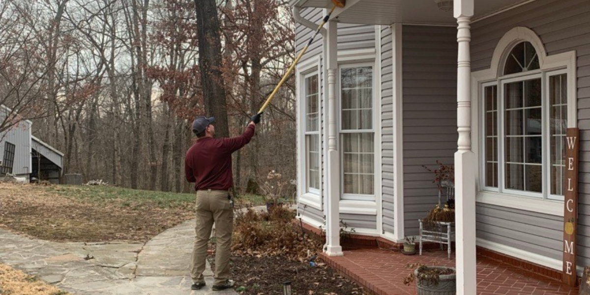 How Often Should You Get Pest Control in Arkansas?